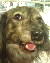 fB[ml